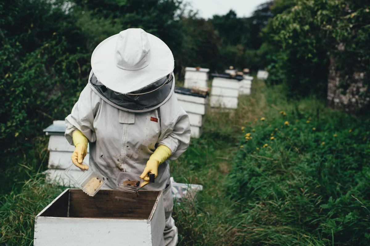 Beekeeper — organic honey farming in the Himalayas
